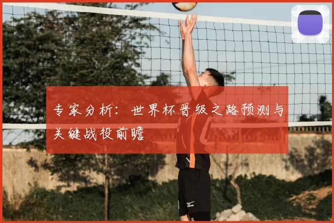 专家分析：世界杯晋级之路预测与关键战役前瞻