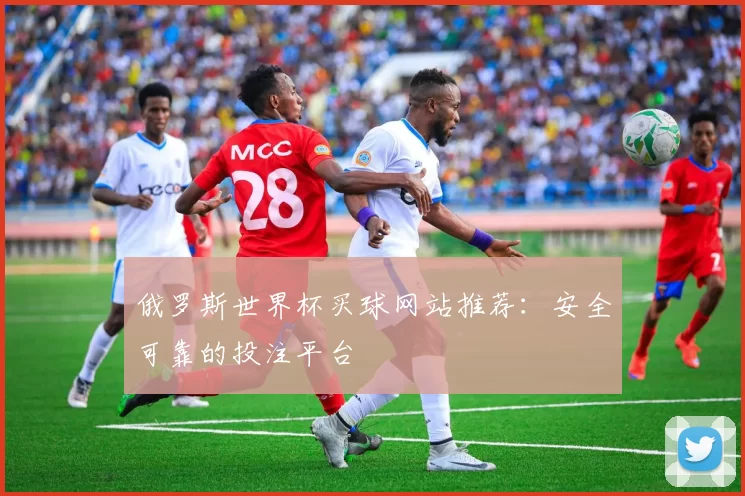 俄罗斯世界杯买球网站推荐：安全可靠的投注平台