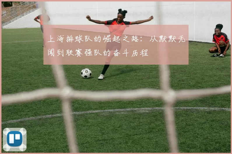 上海排球队的崛起之路：从默默无闻到联赛强队的奋斗历程