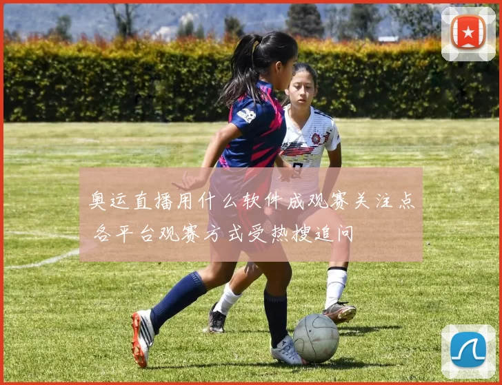 奥运直播用什么软件成观赛关注点 各平台观赛方式受热搜追问