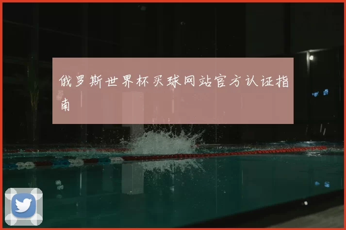 俄罗斯世界杯买球网站官方认证指南