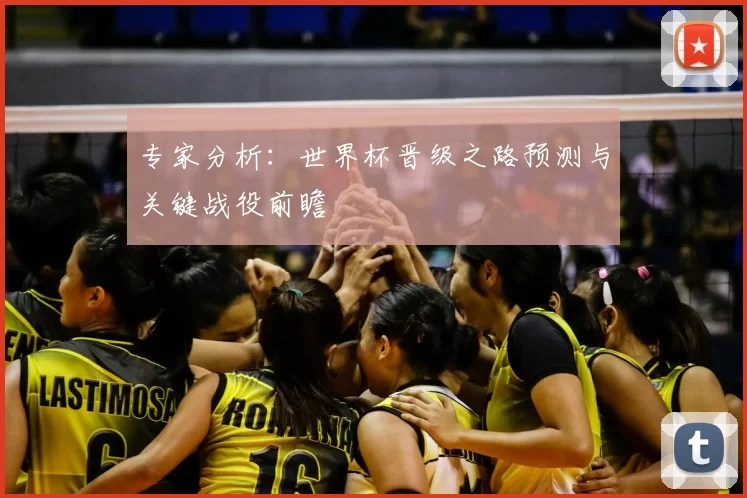 专家分析：世界杯晋级之路预测与关键战役前瞻