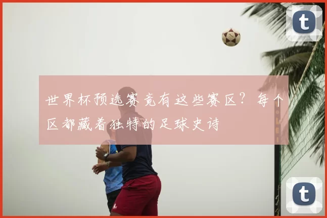 世界杯预选赛竟有这些赛区？每个区都藏着独特的足球史诗
