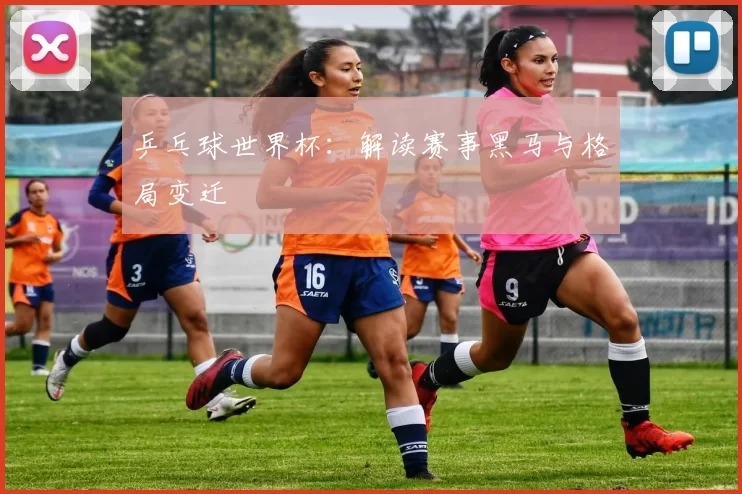 乒乓球世界杯：解读赛事黑马与格局变迁