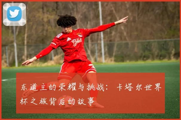 东道主的荣耀与挑战：卡塔尔世界杯之旅背后的故事