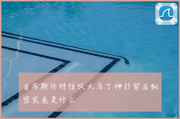 吉布斯怀特惊叹大马丁神扑背后秘密究竟是什么