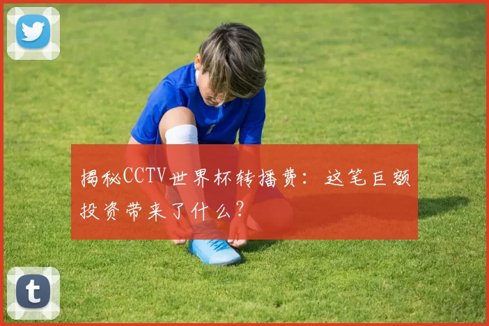 揭秘CCTV世界杯转播费：这笔巨额投资带来了什么？