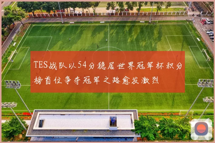 TES战队以54分稳居世界冠军杯积分榜首位争夺冠军之路愈发激烈