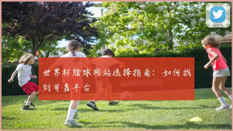 世界杯赌球网站选择指南：如何找到可靠平台