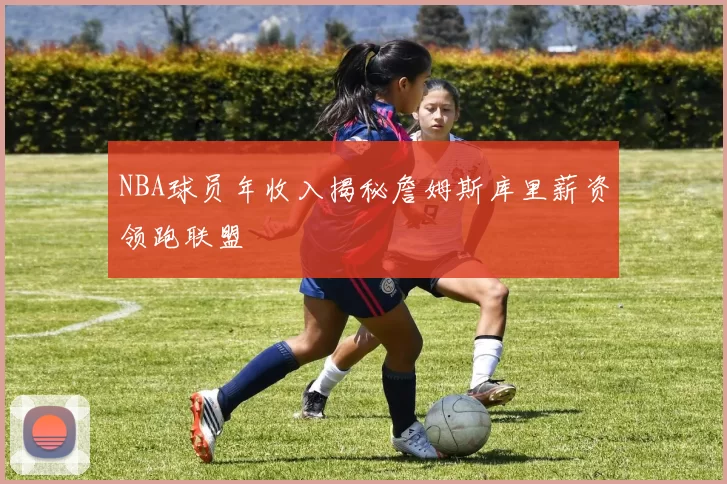 NBA球员年收入揭秘詹姆斯库里薪资领跑联盟
