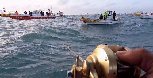 浙江四勇士驾橡皮艇海钓，三小时收获价值四万四大黄鱼