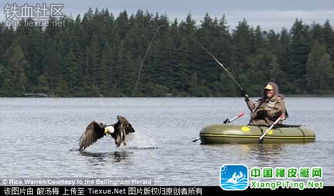 秃鹰突袭钓鱼艇，男子荒野历险记